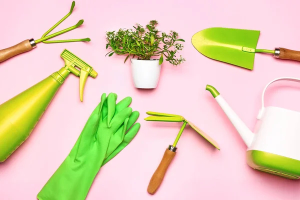 Set Gardening Supplies Plant Color Background — Stock Photo, Image