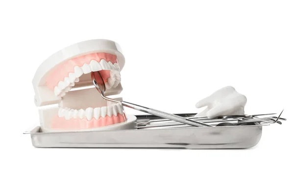 Model Van Kaak Met Tandheelkundig Gereedschap Witte Achtergrond — Stockfoto