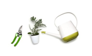 Beyaz arka planda bitki yetiştirme malzemeleri seti.