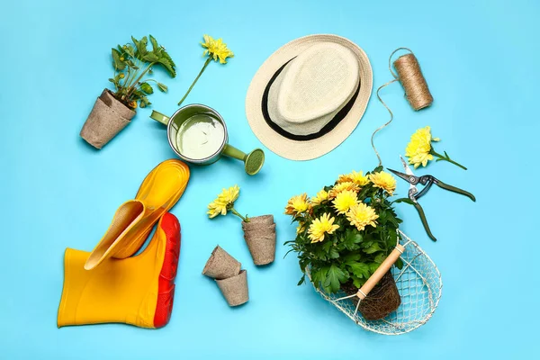 Set Gardening Supplies Plants Color Background — Stock Photo, Image
