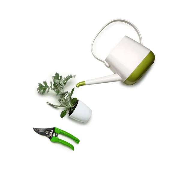 Set Gardening Supplies Plant White Background — Stock Photo, Image