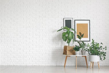 Beyaz tuğla duvarın yanında masası olan yeşil bitkiler