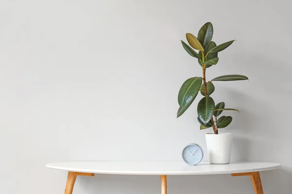 Green Houseplant Clock Table Light Background — Stock Photo, Image