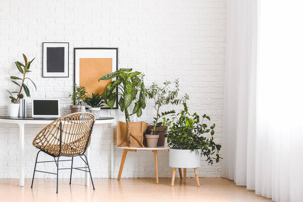 Comfortable workplace with modern laptop and houseplants near white brick wall