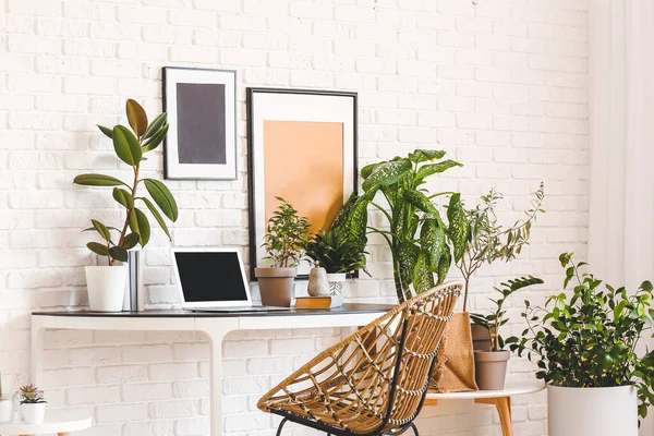 Comfortable Workplace Modern Laptop Houseplants White Brick Wall — Stock Photo, Image