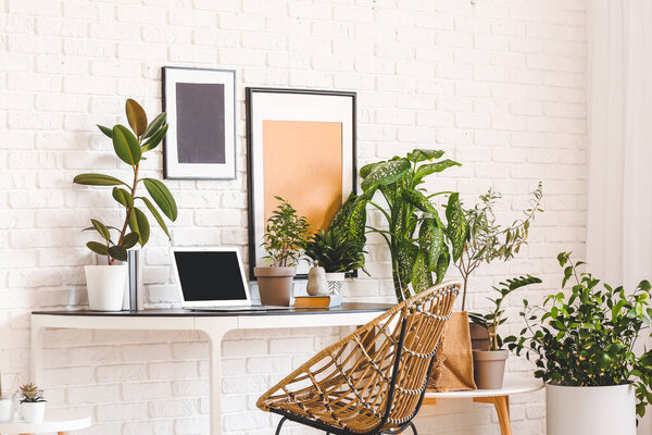 Comfortable workplace with modern laptop and houseplants near white brick wall