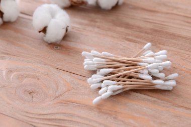 Masada kozmetik bezleri olan pamuk çiçekleri.
