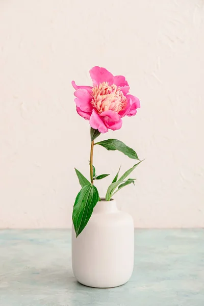 Masadaki Vazoda Güzel Bir Şakayık Çiçeği — Stok fotoğraf