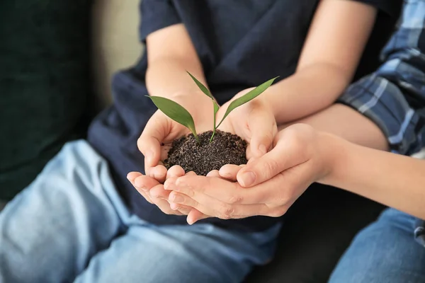 Hands Family Small Plant Closeup — Stock Photo, Image