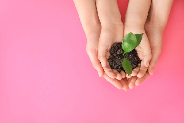 Руки семьи с небольшим растением на цветном фоне
