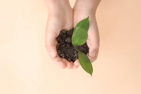 Hands Child Small Plant Color Background — Stock Photo, Image