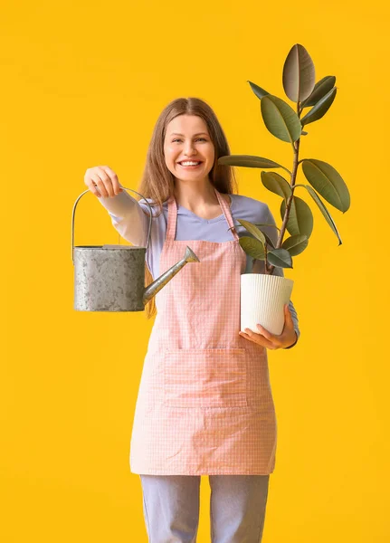 Young Woman Watering Can Houseplant Color Background — Stock Photo, Image
