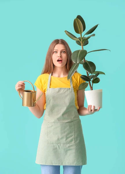 Surprised Young Woman Watering Can Houseplant Color Background — Stock Photo, Image