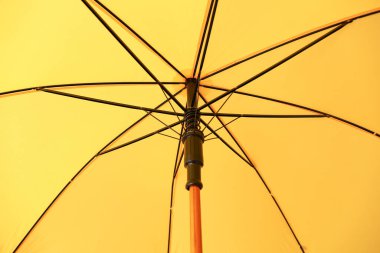 Şık sarı şemsiye, yakın görüş