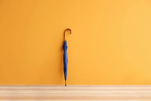 Стильный Зонтик Цветном Фоне — стоковое фото