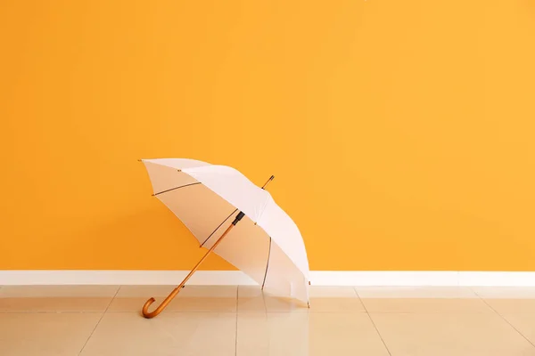 Stílusos Esernyő Közel Színes Fal — Stock Fotó