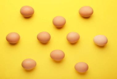 Renkli arka planda taze tavuk yumurtası