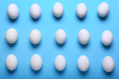 Renkli arka planda taze tavuk yumurtası