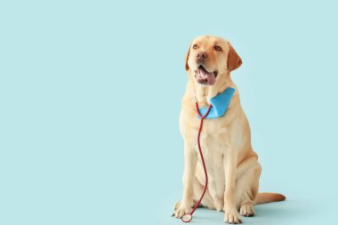 Tıbbi koruyucu maskesi ve steteskobu olan sevimli bir köpek.