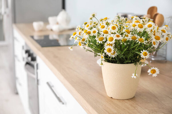 Vase with beautiful chamomiles on table in kitchen