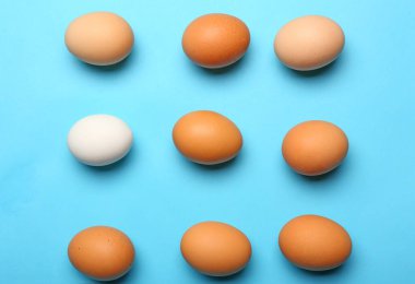 Renkli arka planda taze tavuk yumurtası