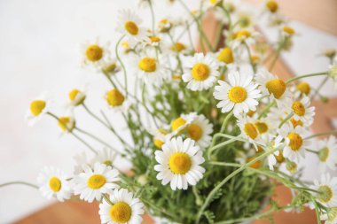 Güzel papatyalı vazo, yakın plan.