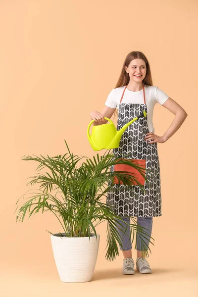 Young Woman Watering Can Houseplant Color Background — Stock Photo, Image