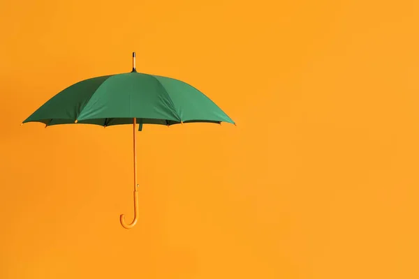 Paraguas Elegante Sobre Fondo Color — Foto de Stock