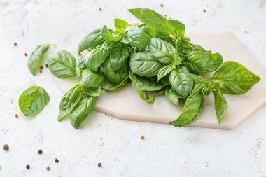 Masada taze yeşil fesleğen