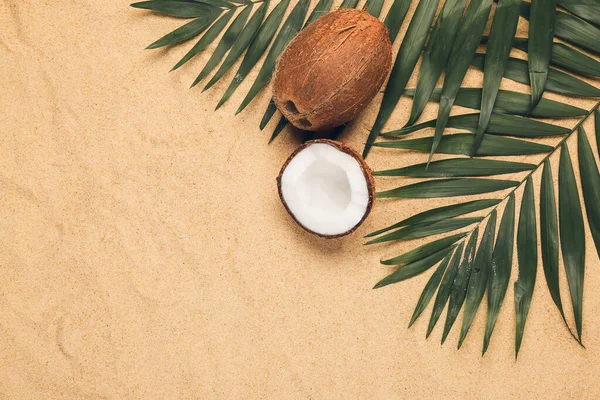 Coconut Palm Leaves Sand Background — Stock Photo, Image