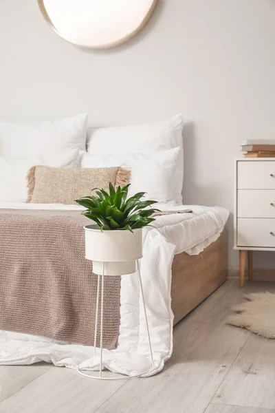 Groot Comfortabel Bed Kamer — Stockfoto