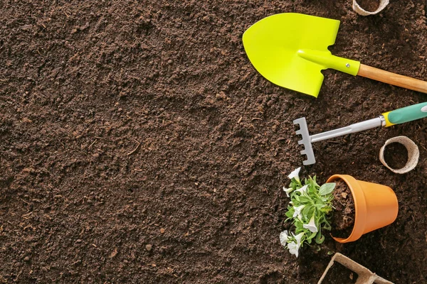 Benodigdheden Voor Tuinieren Met Plant Bodemachtergrond — Stockfoto