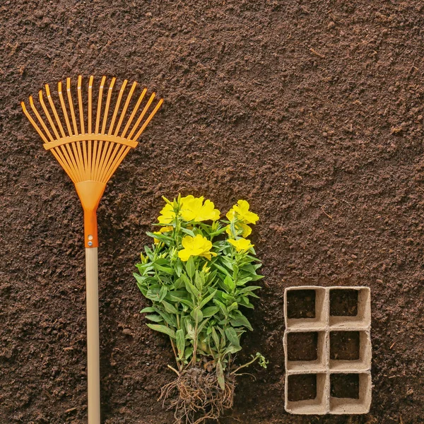 Benodigdheden Voor Tuinieren Met Plant Bodemachtergrond — Stockfoto