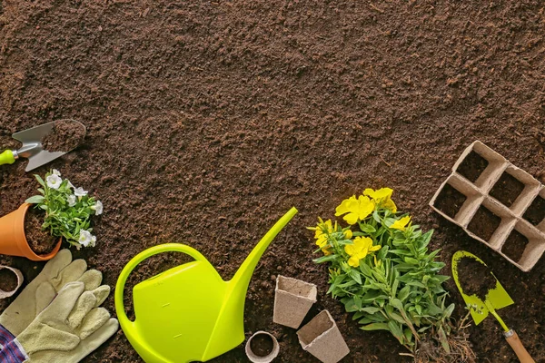 Supplies Gardening Plants Soil Background — Stock Photo, Image