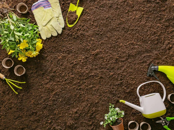 Suprimentos Para Jardinagem Com Plantas Fundo Solo — Fotografia de Stock