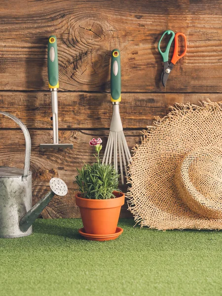 Composizione Con Forniture Giardinaggio Impianti — Foto Stock