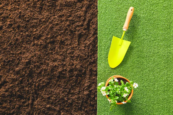 Schaufel Zum Gärtnern Mit Pflanze Und Erde Von Oben — Stockfoto