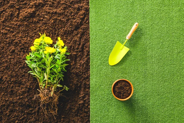 Schep Voor Tuinieren Met Plant Pot Grond Bovenaanzicht — Stockfoto