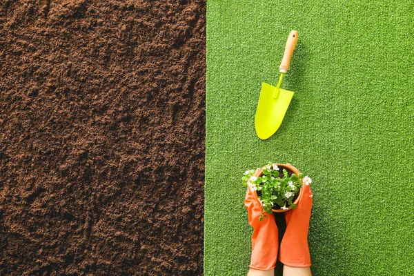 Gardener Plant Shovel Soil Top View — Stock Photo, Image