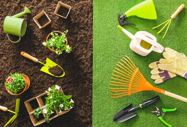 Suministros Para Jardinería Con Plantas Vista Superior — Foto de Stock