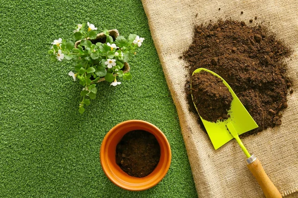 Shovel Gardening Soil Plant Pot Color Background — Stock Photo, Image