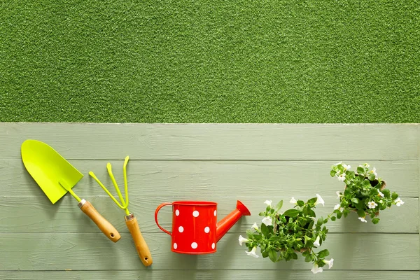 Supplies Gardening Plants Color Background — Stock Photo, Image