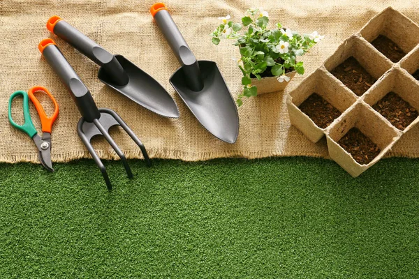 Suministros Para Jardinería Planta Sobre Fondo Color — Foto de Stock