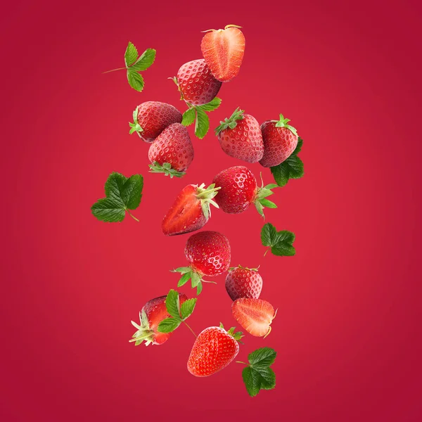 Ripe Falling Strawberry Red Background — Stock Photo, Image