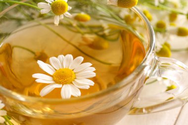 Bir fincan papatya çayı, yakın plan.