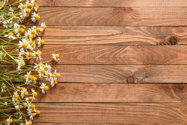 Ahşap arka planda taze papatya çiçekleri