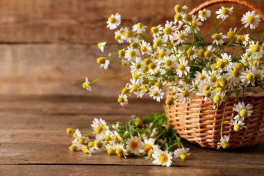 Tahta arka planda papatya çiçekli sepet.