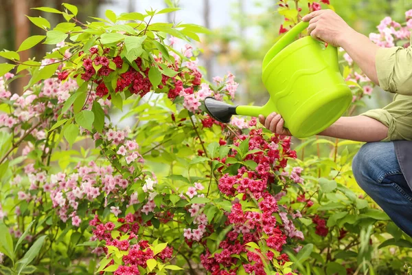 Jardinero Masculino Con Regadera Aire Libre — Foto de Stock