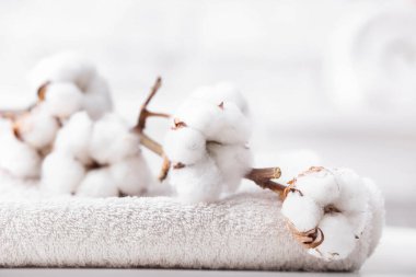 Banyodaki masada pamuk havlu.