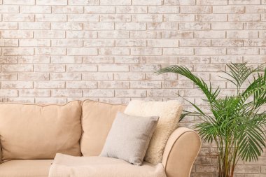 Rahat kanepeli bir oda.